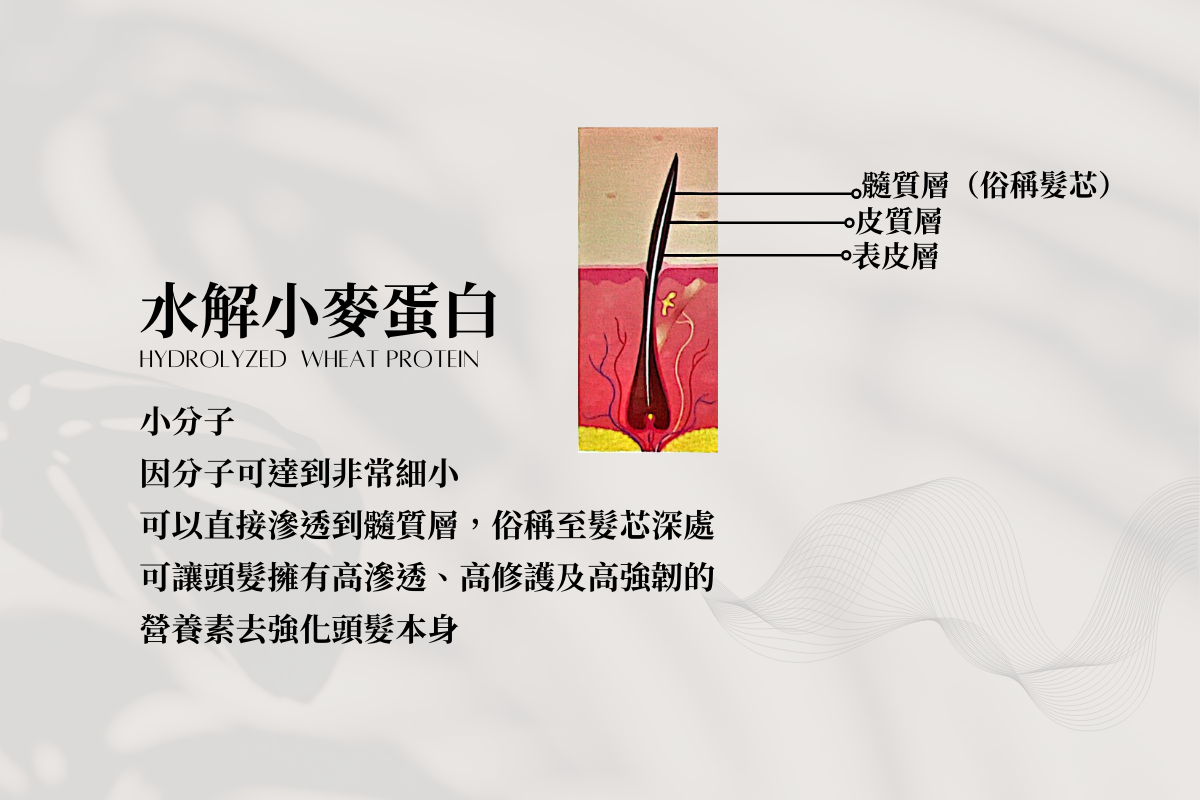 Is Red Hair 就是紅