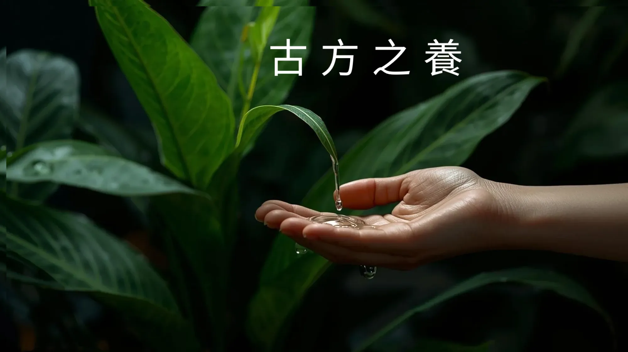 瀞愛天然 ChingLove